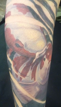 Mason - top anlge of the koi sleeve